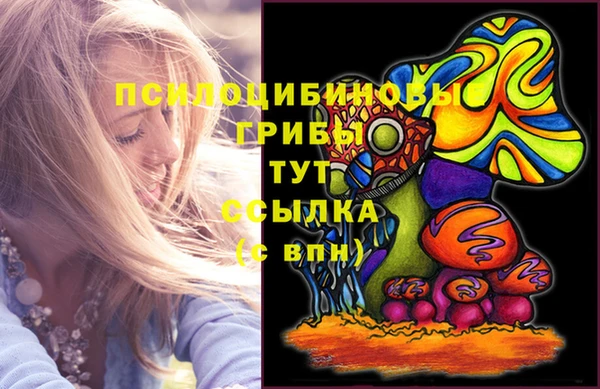 apvp Надым