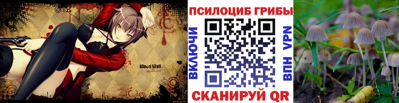 Галлюциногенные грибы мицелий  купить наркотики сайты  Строитель 