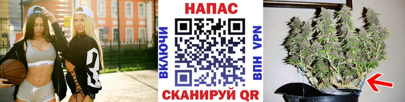 Каннабис Ganja  купить наркоту  Строитель 